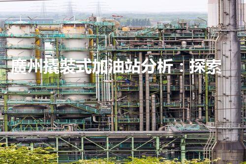廣州撬裝式加油站分析：探索數(shù)據(jù)背后的秘密！